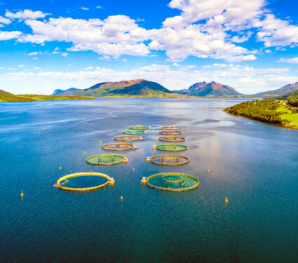 Farm,Salmon,Fishing,In,Norway,Aerial,Fpv,Drone,Photography.