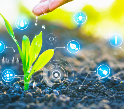 Farmer's,Hand,Watering,A,Young,Plant,,Modern,Agriculture,With,Technology