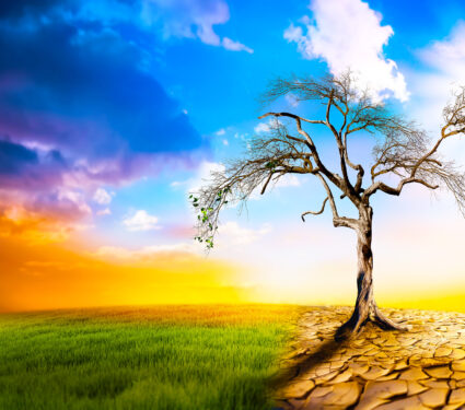 Climate,Change,Heat,Dryness,Withered,Earth