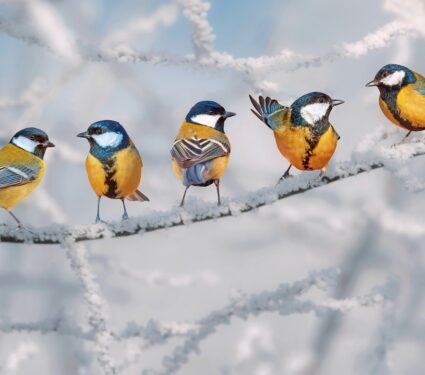 Bird-change-2.jpg