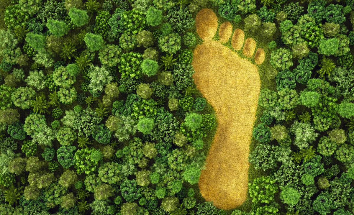 New PBS documentary explores humanity’s footprint on nature