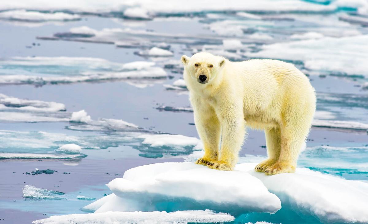 Melting Arctic glaciers are releasing a new source of potent methane emissions