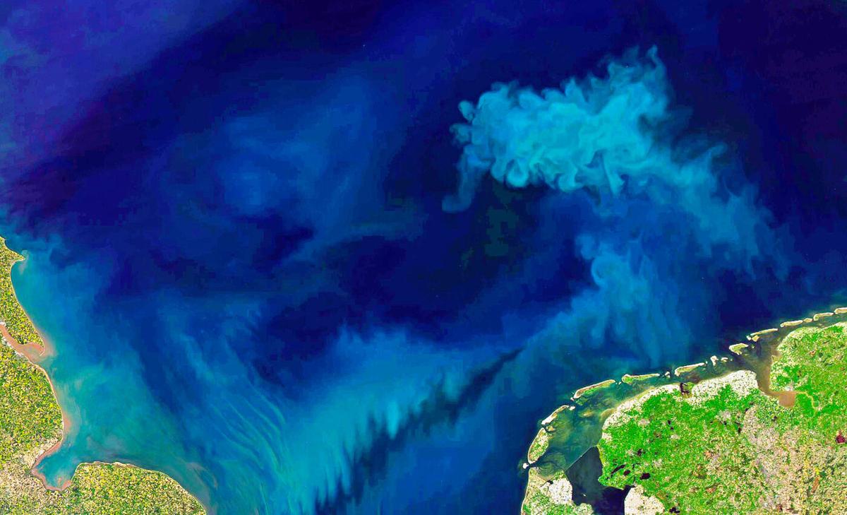 Ocean color has changed significantly over the past 20 years