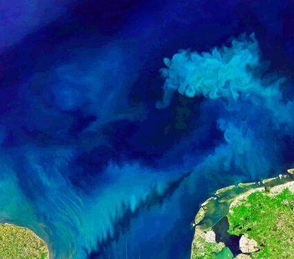 2023/07/phytoplankton_ocean_modis_nasa_1medium.jpg