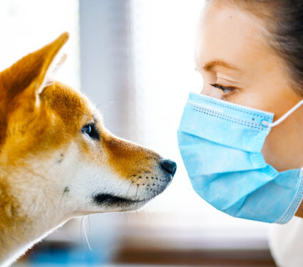 A,Girl,In,A,Medical,Mask,And,A,Dog,Of