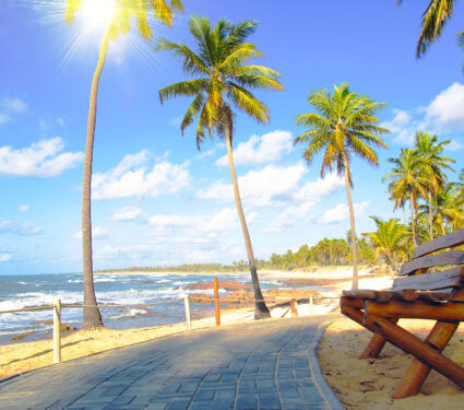 Wooden,Bench,Facing,The,Beach,,Costa,Do,Sauipe,,Bahia,,Brazil.