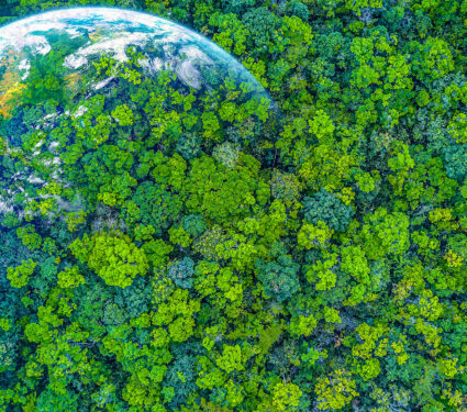 Aerial,Top,View,Green,Forest,With,Earth,,Green,Planet,In