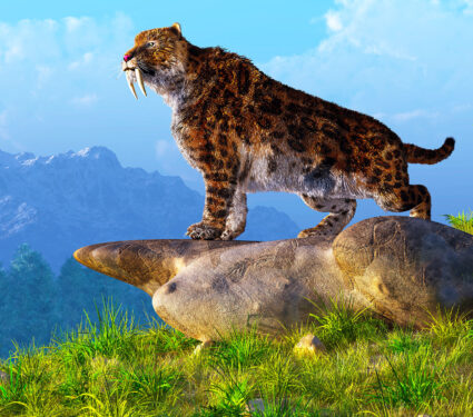 A,Saber-toothed,Cat,Stands,Atop,A,Boulder,On,A,Grassy