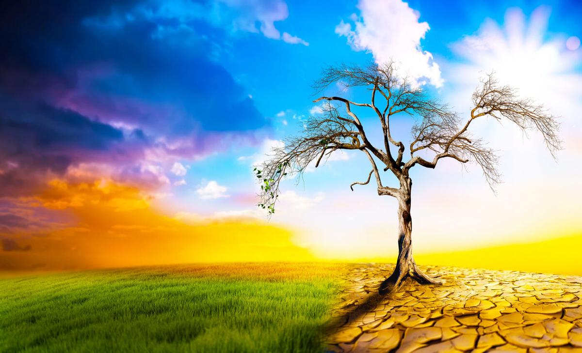 July may be Earth's hottest month in centuries, or even millennia as climate crisis gets worse