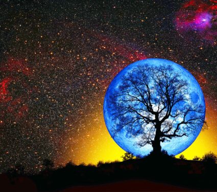 Silhouette,Of,A,Big,Mighty,Oak,Against,Blue,Moon"elements,Of