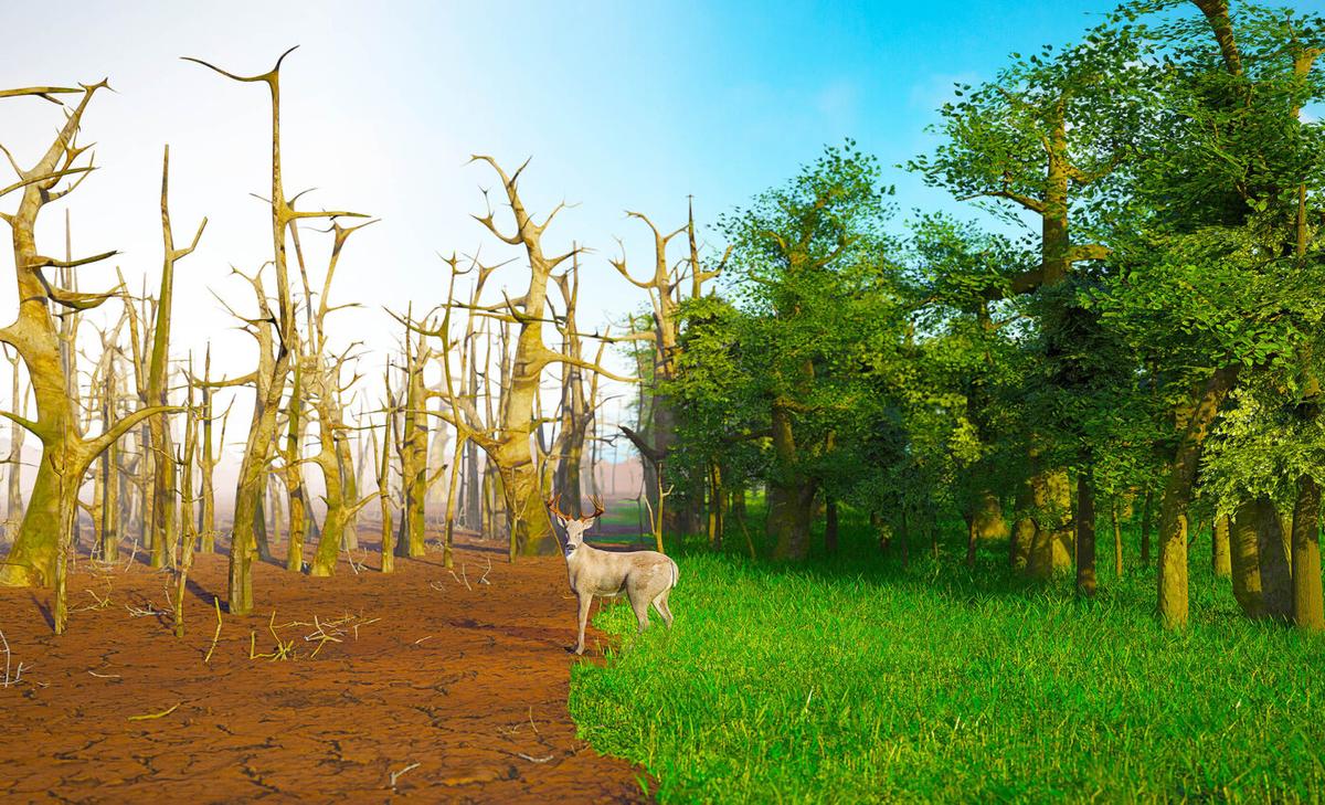 Climate change poses a multi-faceted threat to animal welfare