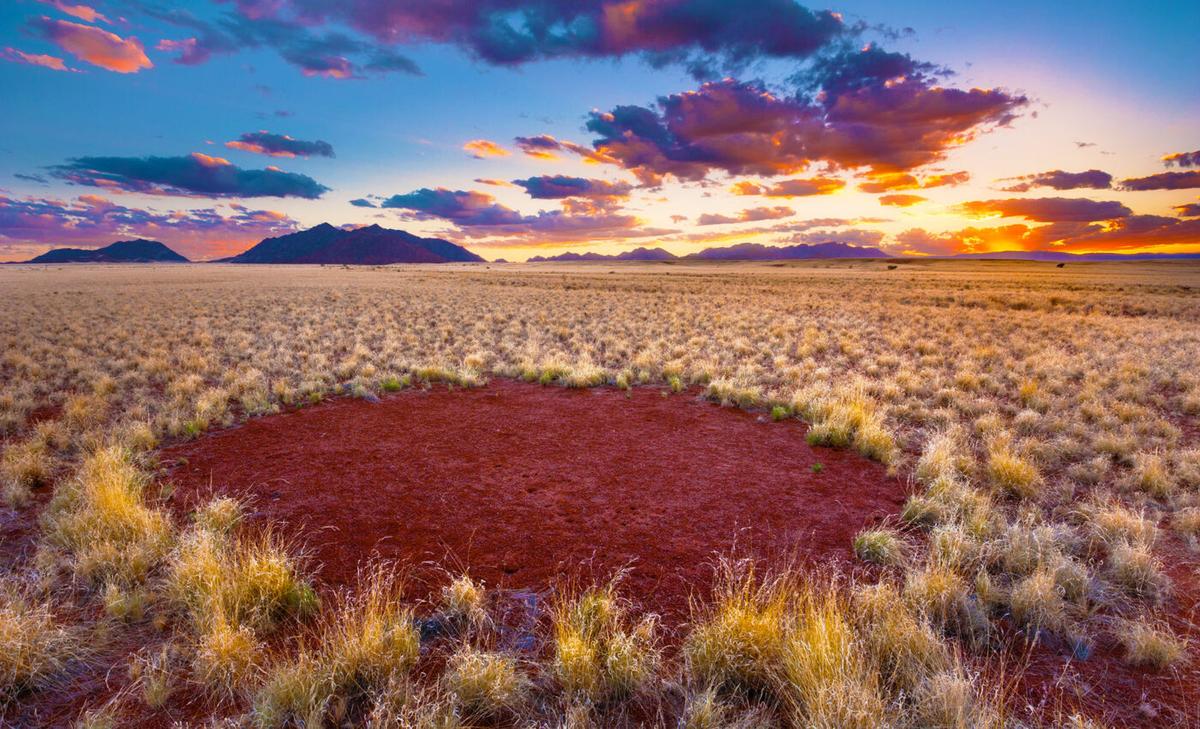 Mystery of the "Fairy circles" may finally be solved