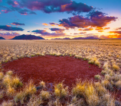 A,Horizontal,Photograph,Of,A,Fairy,Circle,Taken,During,Sunset