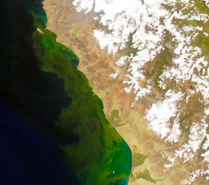 2023/07/greening_Peruvian-coast_MODIS_1medium.jpg