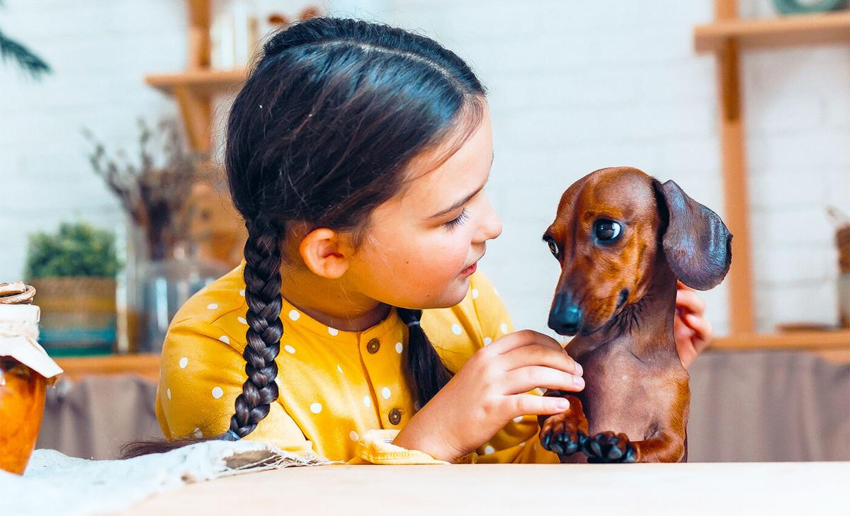 Age and experience help young kids recognize dog emotions