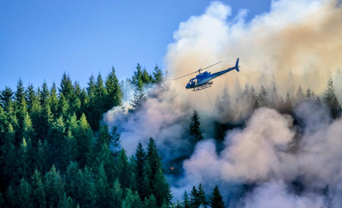 Canadian fires have released a billion tons of carbon dioxide