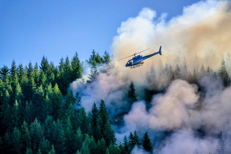 Canadian fires have released a billion tons of carbon dioxide
