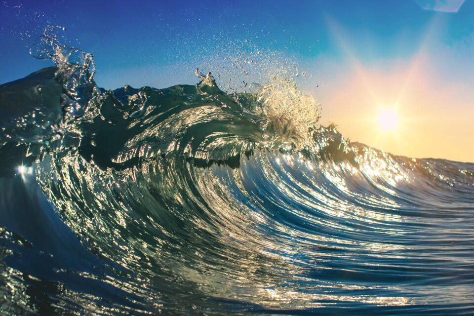 Ocean temperatures hit a record high this week with the worst heat still to come