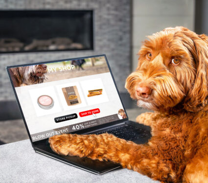 Labradoodle,Dog,Ordering,Online,By,Internet,For,Home,Delivery.,Paws