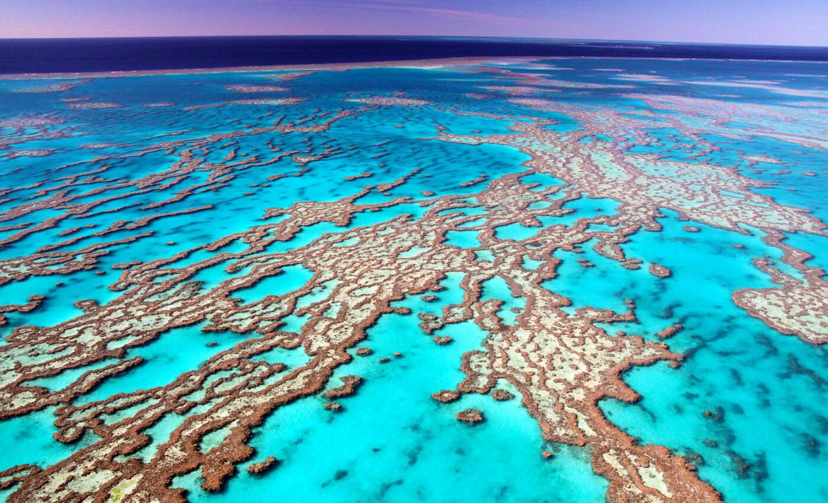 Recent coral recovery in the Great Barrier Reef has paused