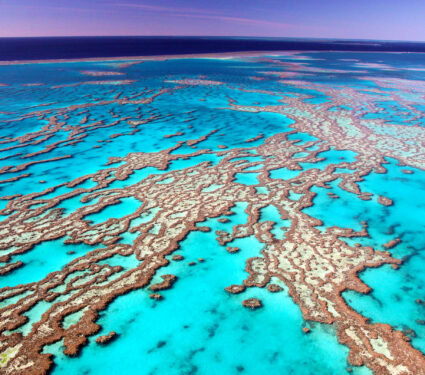 Great,Barrier,Reef,Showing,Its,Magnificent,Colours