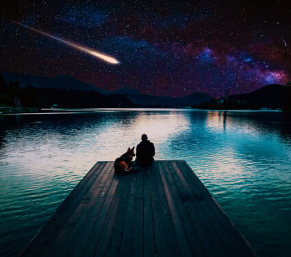 Man,With,Dog,Looking,At,Perseid,Meteor,Shower,At,Lake