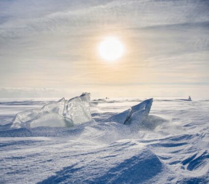 Ice-mouse-.jpg