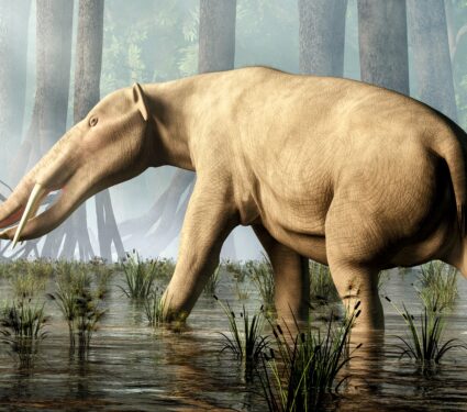Elephant-teeth.jpg