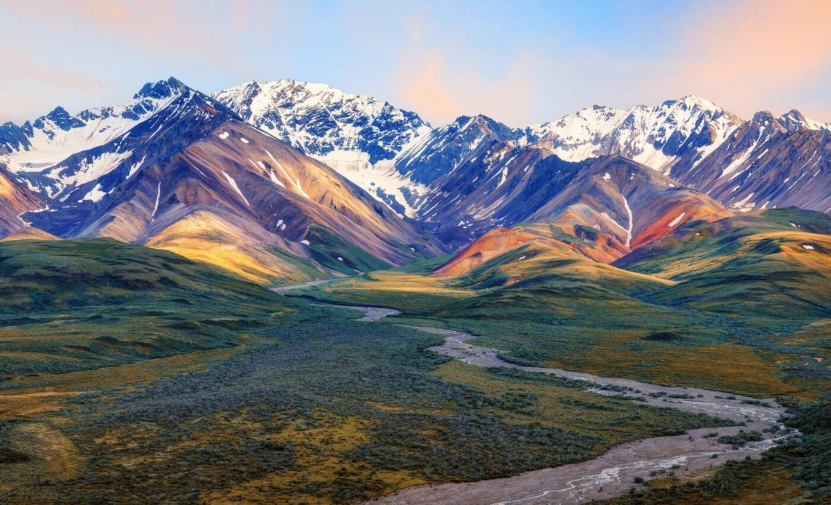 Dinosaur track site in Alaska reveals remarkable details of the past