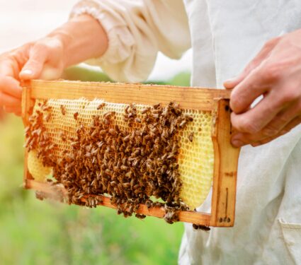 World-Honey-Bee-Day.jpg