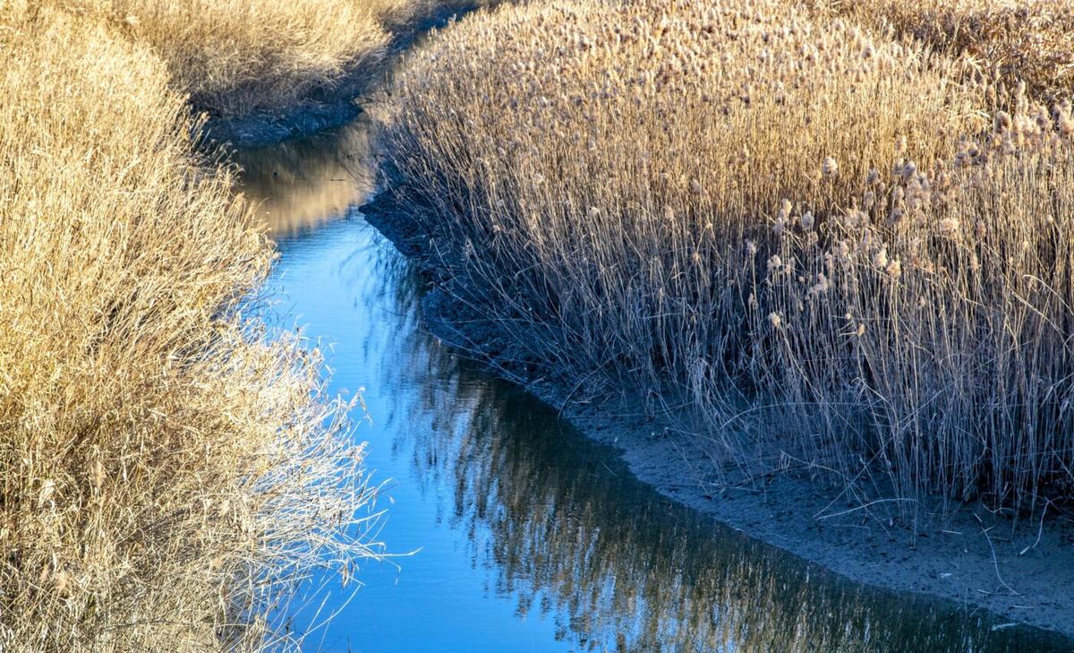 Coastal squeeze: America's tidal flats are threatened by urban expansion