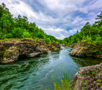 River,In,Mountain,Forest,Landscape