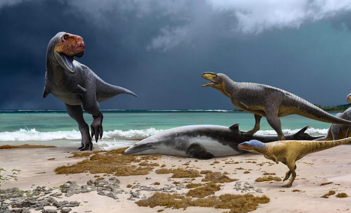 T. rex cousins had even shorter arms and bulldog snouts