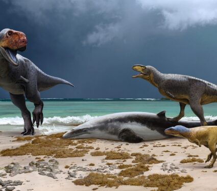 Abelisaurs-image-Credit-Andrey-Atuchin.jpg