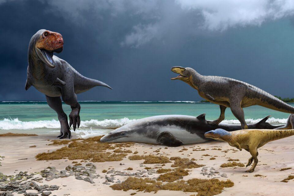 T. rex cousins had even shorter arms and bulldog snouts