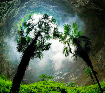 2023/08/china_sinkhole_forest-inside_3medium.jpg
