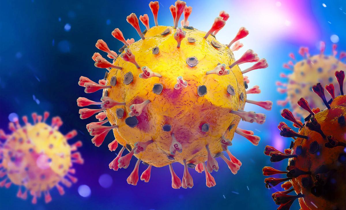 Only a small fraction of "Covid deaths" directly attributed to the actual virus