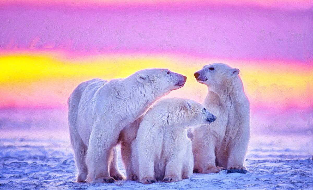 Study confirms direct link between polar bear survival and harmful emissions