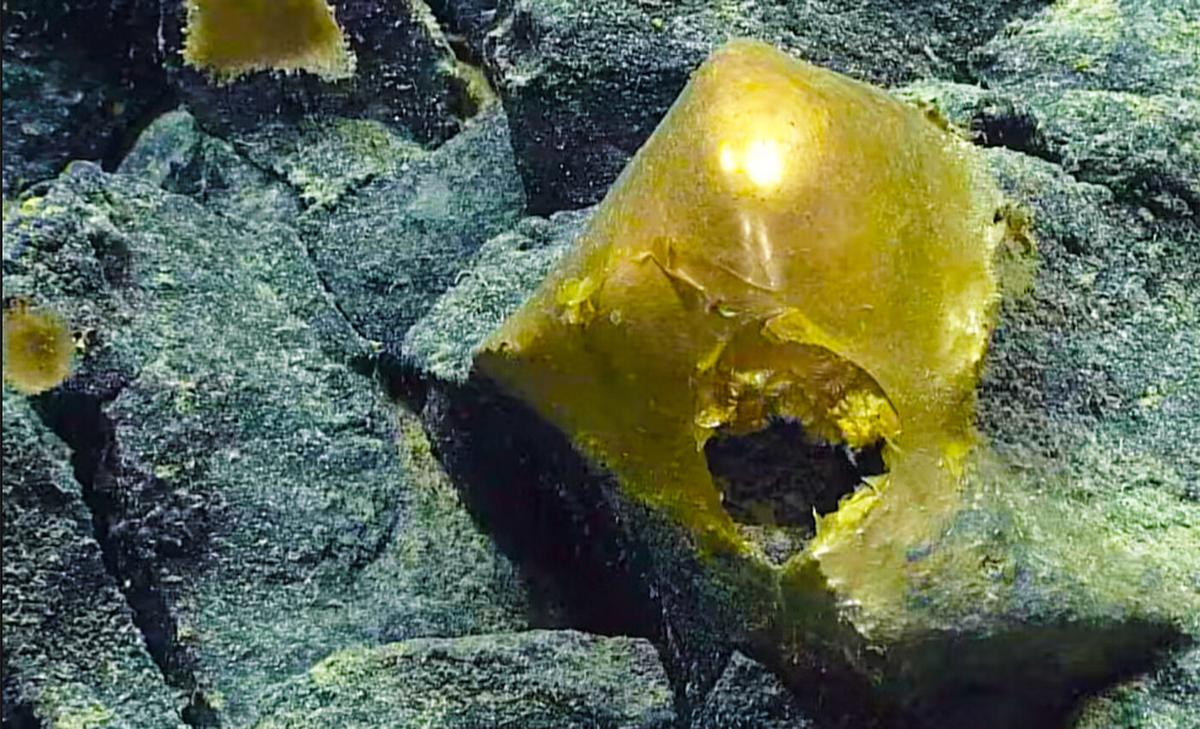 Mysterious golden object unknown to science is recovered from the seafloor