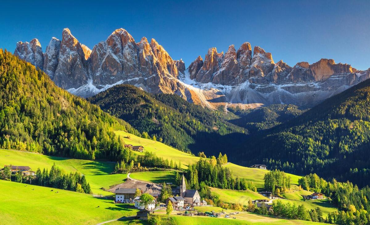 Italy's mountain forests are on the frontline of the climate crisis