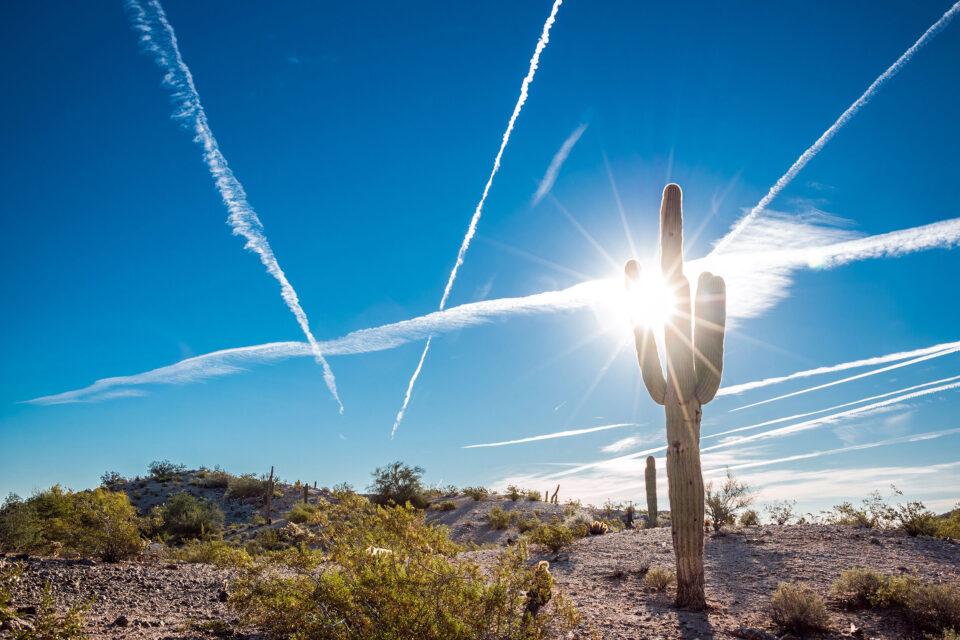 "Climate breakdown" has begun as Phoenix breaks another heat record
