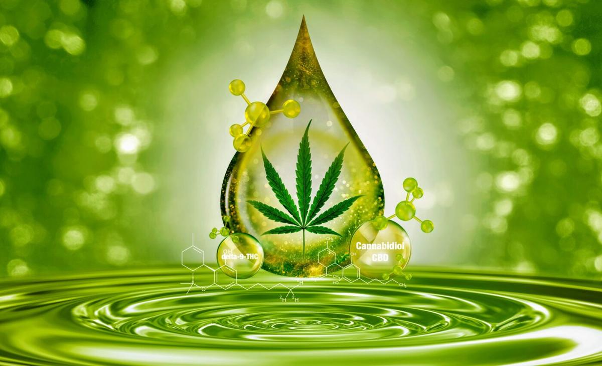 Natural cannabinoids in the brain relieve stress