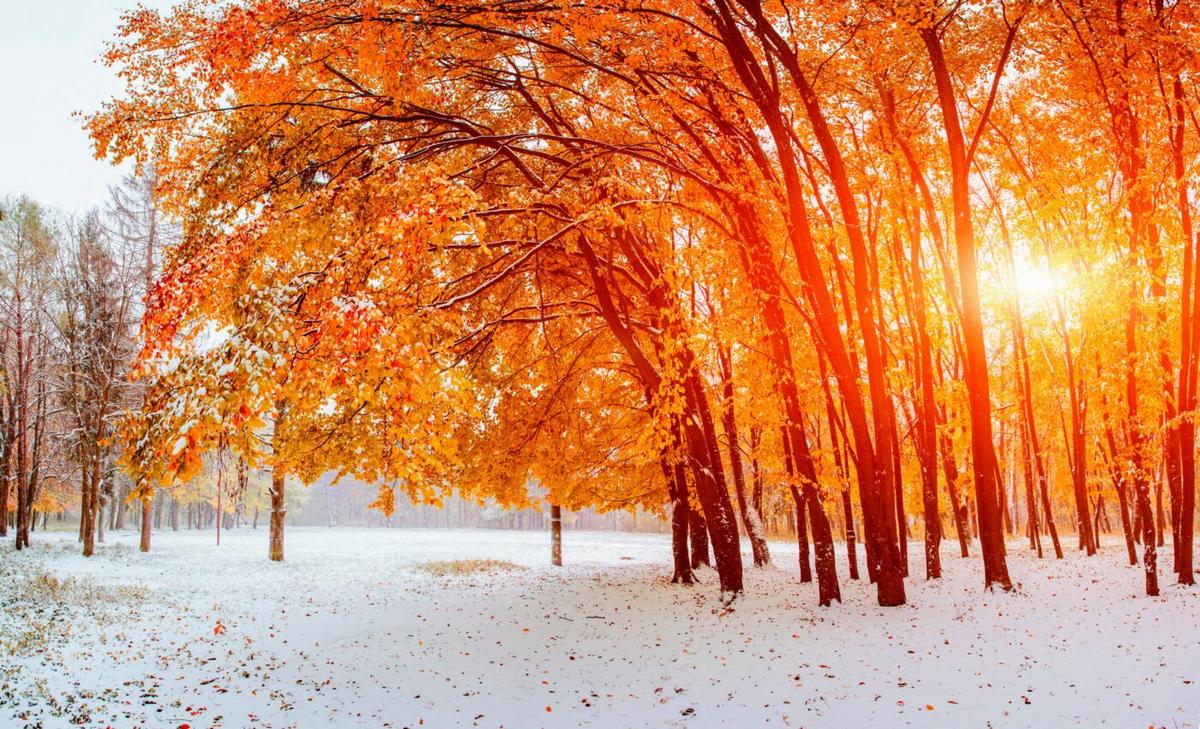 Fall snow levels can help predict a year’s total snowpack