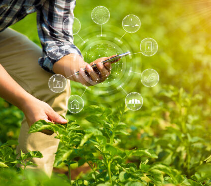 Hands,Of,Farmer,,Agriculture,Technology,Farmer,Man,Using,Tablet,Modern