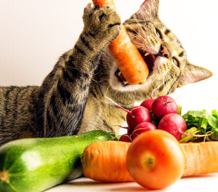 Cat,&amp;,Vegetables.,Colorful,Close,Up,Photo,With,Cat,And