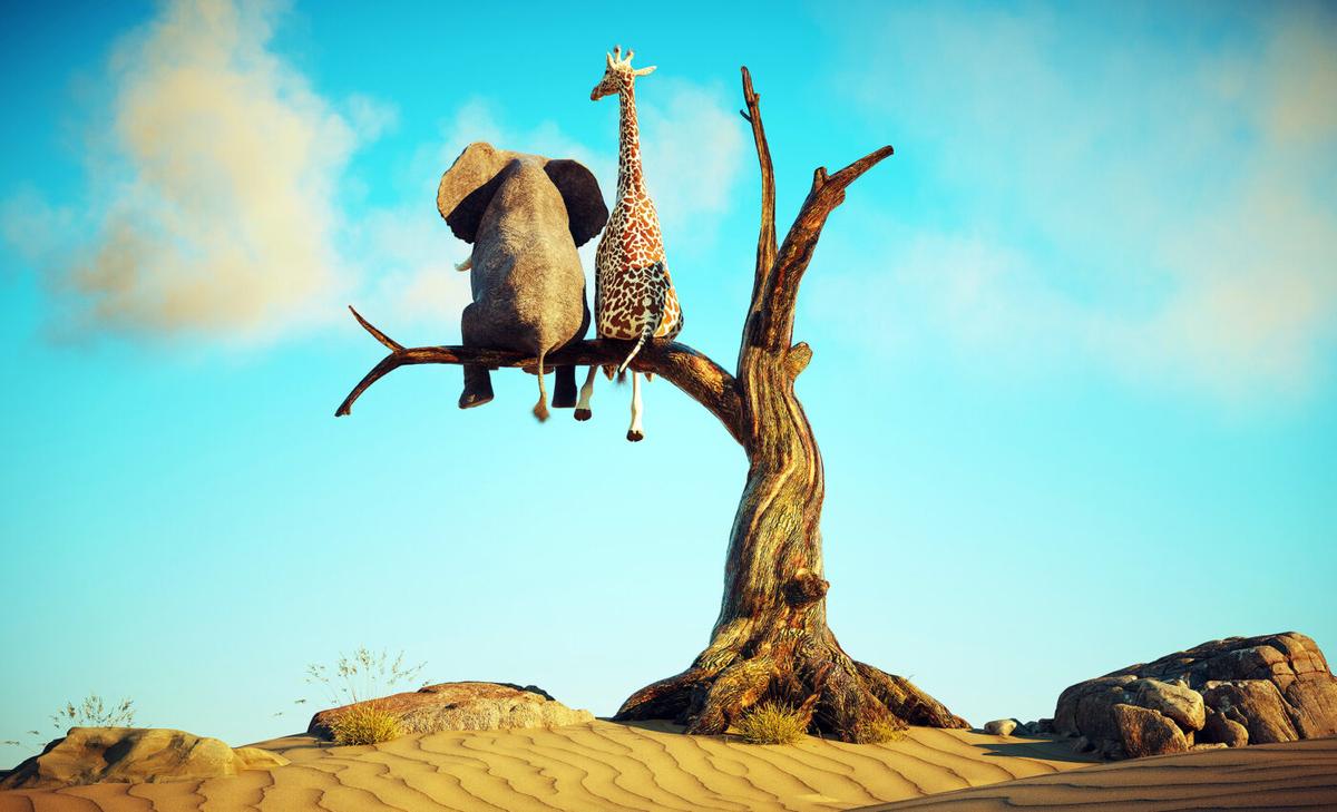 Ig Nobel Prize: Honoring the most ludicrous research studies of the year