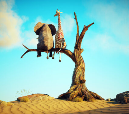 Elephant,And,Giraffe,Stands,On,Thin,Branch,Of,Withered,Tree