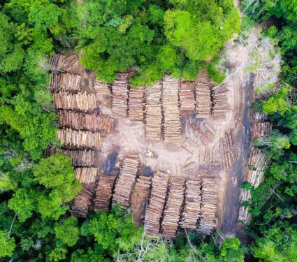 Aerial,View,Of,A,Log,Storage,Yard,From,Authorized,Logging