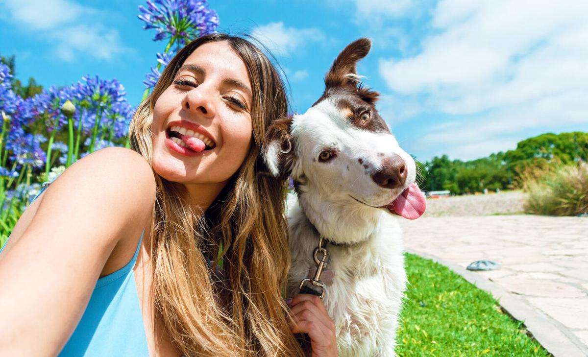 Over 50% of all dog owners do not vaccinate their pets