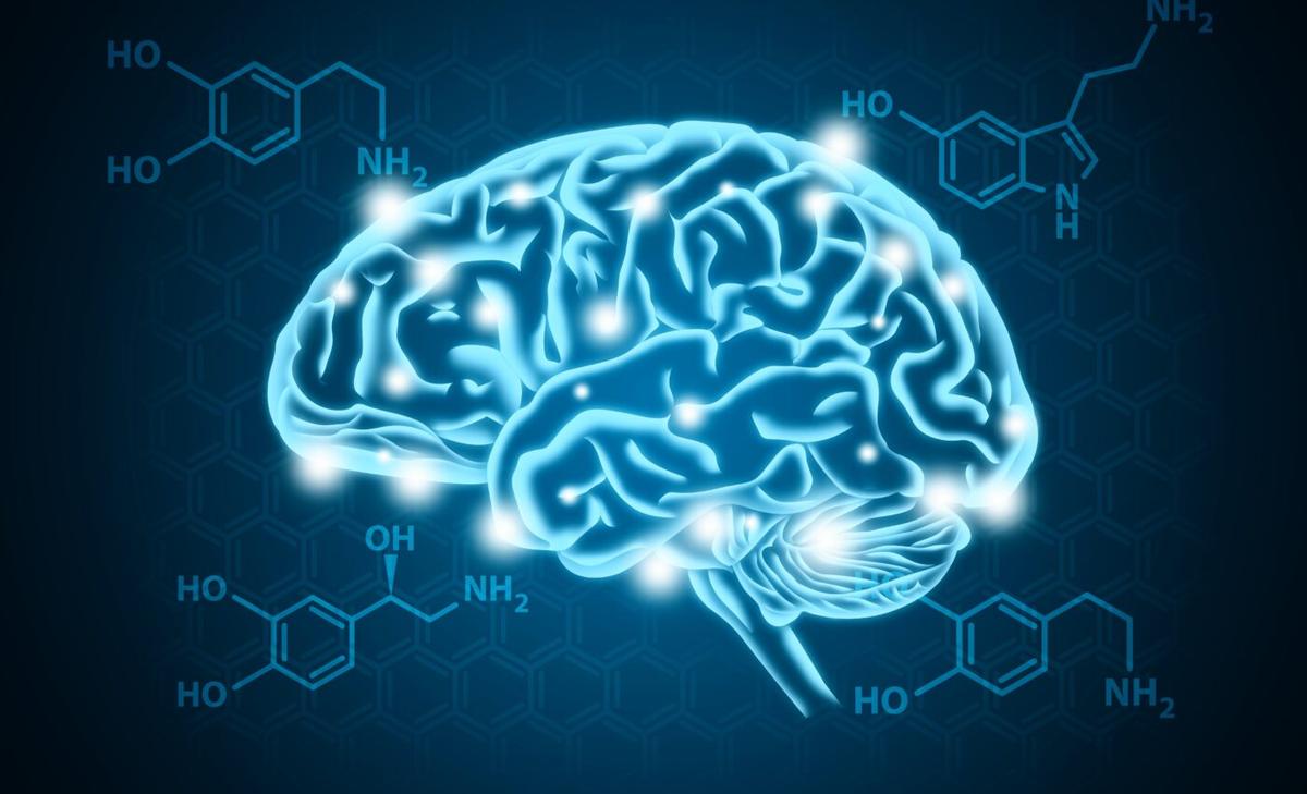 Bio-computing: Should a brain in a dish have moral rights?